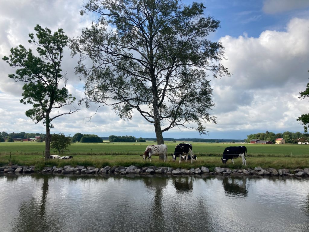 Mehr über den Artikel erfahren An der höchsten Stelle – Vikensee, Vassbacken und Hajstorp